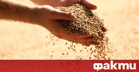 Русия среща трудности да изнесе рекордната си реколта от пшеница