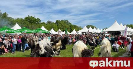 Президентът Румен Радев ще приветства участниците в Националния събор на