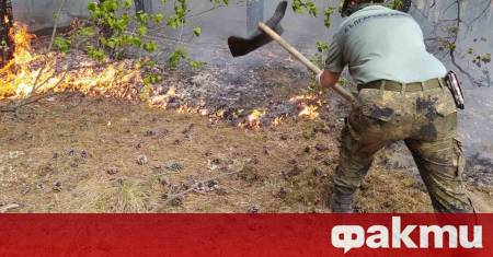 Екстремните горещини продължават да държат на крак пожарникарите в няколко
