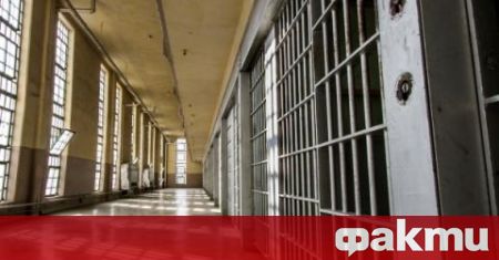 Съдът в Кюстендил наложи ефективни присъди на двама братя нападнали