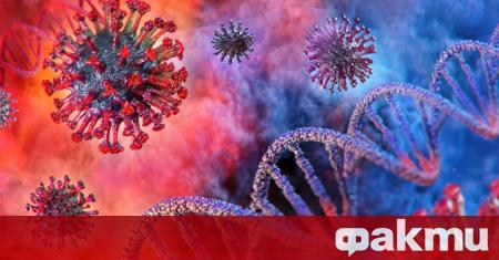 Учени от Полша и САЩ намериха начин да блокират коронавируса