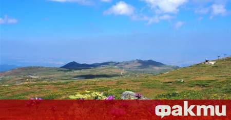 Дневните температури ще са с около градус по високи между