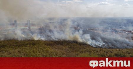 Пожарите в тропическите гори на Амазонка в Бразилия нараснаха през