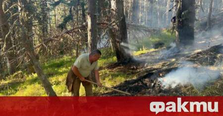 Горски пожар е избухнал над село Горно Осеново община Симитли