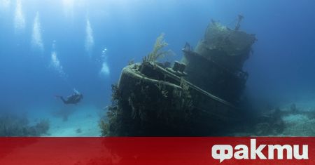 Изследователи попаднаха на удивителна историческа находка в Колумбия При подводно