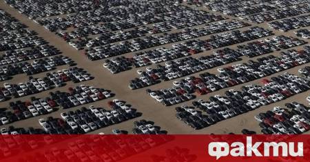 Пясъците на пустинята Мохаве в САЩ крият един от най