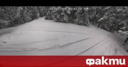 Още на 18 февруари полицията и прокуратурата дадоха огромна пресконференция