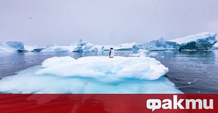 Айсберг с внушителни размери се откъсна от ледената покривка на