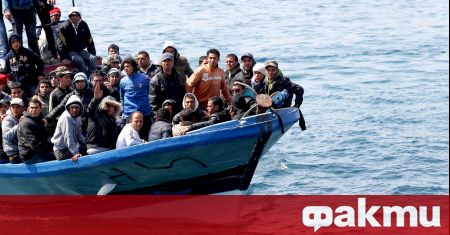 Общо 14 054 мигранти са стъпили на италианския бряг от