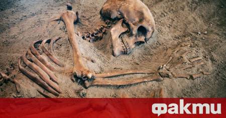 Останки от Homo erectus – изчезнал човешки вид смятан за