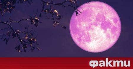 Ягодова луна е новото астрологично събитие, на което ще станем