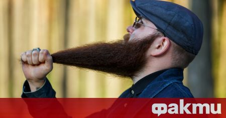 Американци направиха най-дългата жива верига от бради в бар в