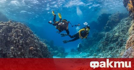 Подводни археолози проучват акваторията на Несебър с цел промяна на