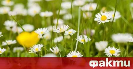 Над по голямата част от страната ще се развива купесто дъждовна облачност