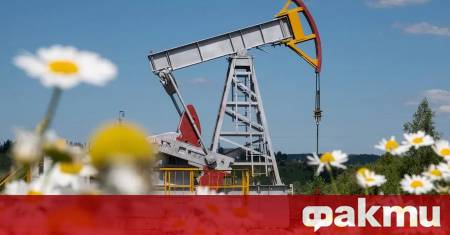 Преди срещата на външните министри на Пакистан Турция Египет и