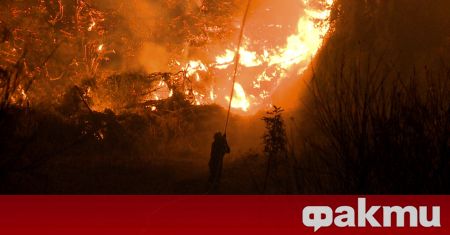 Гърция е изправена пред екологично бедствие заради горските пожари. Над