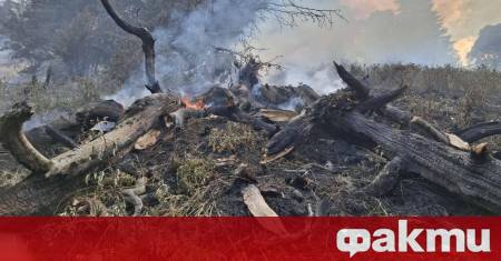 Продължава борбата с пламъците във високата част на Рила в