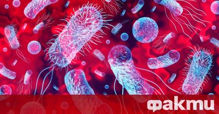 ветовната здравна организация официално обяви гъбичната инфекция за заплаха за