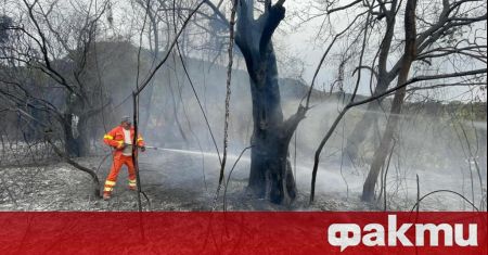 Италиански области продължават борбата с много горски пожари предаде ДПА