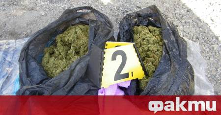 Служители на Регионална дирекция Гранична полиция – Кюстендил неутрализираха организирана