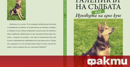 Наскоро беше отпечатана първата книга на Лъчезар Стоичков, наречена Галеникът