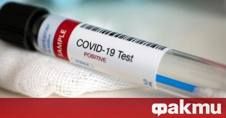 Регистрирани и потвърдени са 16 нови случая на COVID 19 в