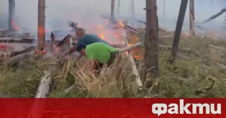 Трети ден продължават опитите за потушаване на големия горски пожар
