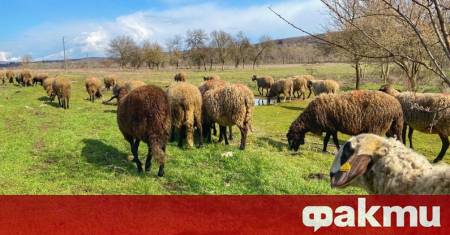 Акция на МВР в Пловдивско във връзка с усложнената обстановка