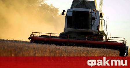 Зърнопроизводители у нас настояват за по ниски ренти за земя