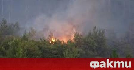 Големият пожар който се разрази край Свиленград към момента е