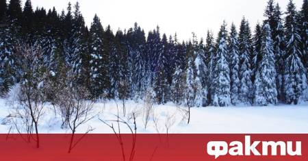 През нощта вече почти в цялата страна ще вали сняг