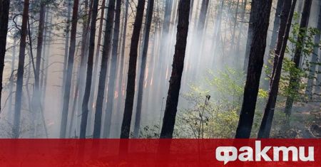 Пожар е горял в каравана в село Малко Кирилово община