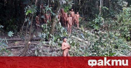 Обезлесяването в тропическите гори край Амазонка в Бразилия достигна рекордно