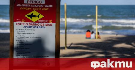 Тринадесетгодишно момче почина в бразилския град Олинда след като беше