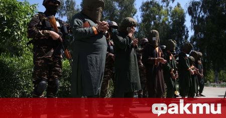 Талибаните са убили 13 хазарейци включително 11 бивши членове на
