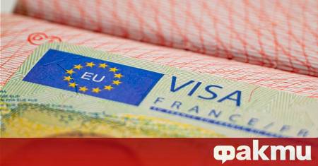 Европейската комисия ЕК прие първата по рода си стратегия за