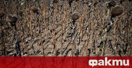 Земята се загрява с безпрецедентна скорост и процесът може да