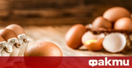 Консумацията на повече яйца намалява риска от сърдечносъдови заболявания и