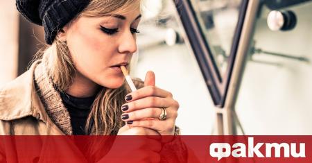 Вече е в сила забраната за продажба на ментолови цигари