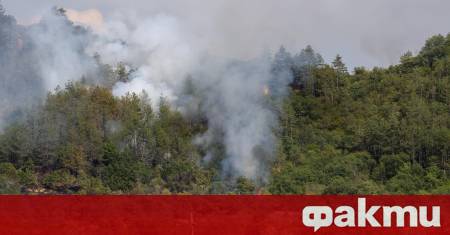 Два хеликоптера от състава от Военновъздушните сили се включват в