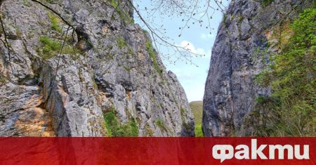 Днес времето ще бъде слънчево Максималните температури ще са между