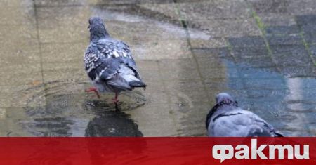 Жълт код за интензивни валежи за 10 области е обявен