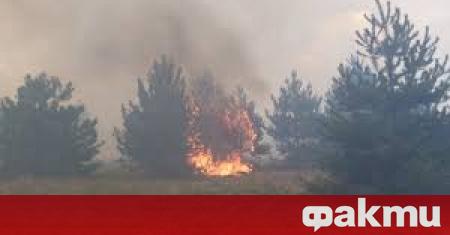 Пожарът край Свиленград се разраства съобщи Българската национална телевизия Пламъците