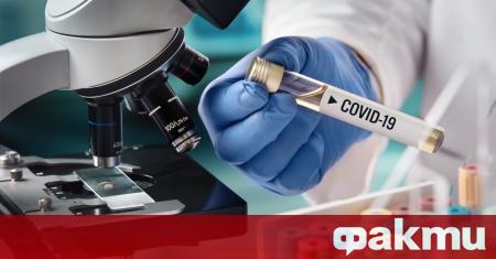 Колко заразна е боластта COVID-19? Как живеят хората под карантина