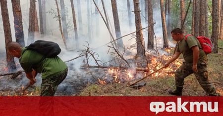 Огромният горски пожар край родопското село Югово се разгоря с