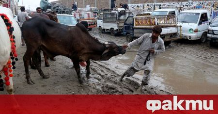 Аграрните производители в Пакистан продължават да пресмятат загубите си след