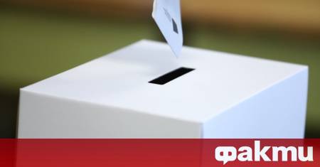 Опити за гласуване с невалидни документи на извънредните местни изборите