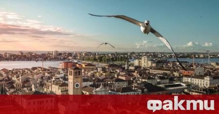 Въздушната фотография достига нови висоти на състезанието Drone Awards 2020
