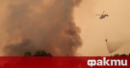 Към горящата Гърция продължава да пристига помощ 75 словашки огнеборци