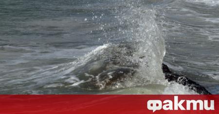 Спасители предупреждават за опасно мъртво вълнение по морето което традиционно